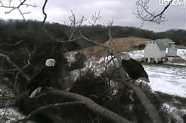 ScreenHunter_38 Feb. 21 11.18.jpg